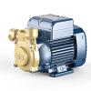 Pedrollo PQm 60 BS VITON - 230V - 0,30kW - 0,40PK