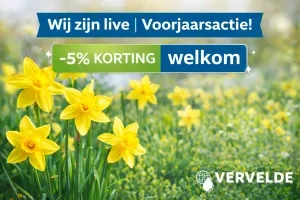vervelde actie