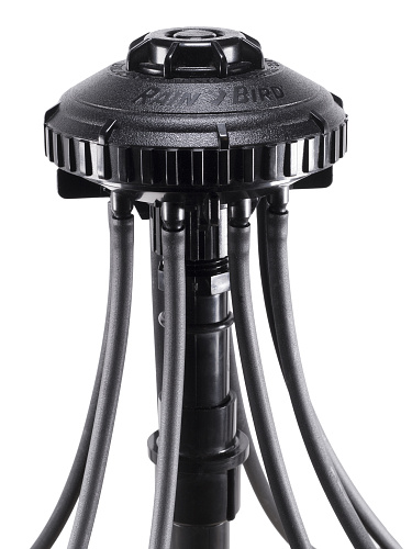 Rain Bird Xeri-Bird XBD-81 verdeelblok 8-weg