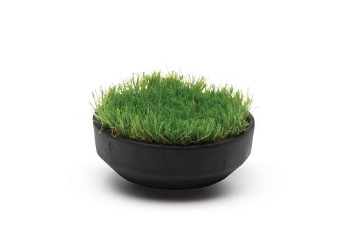 Rain Bird 11000 serie grashouder