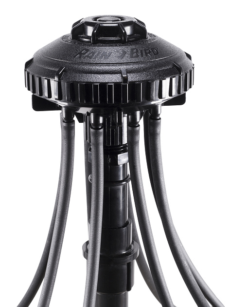 Rain Bird Xeri-Bird XBD-81 verdeelblok 8-weg