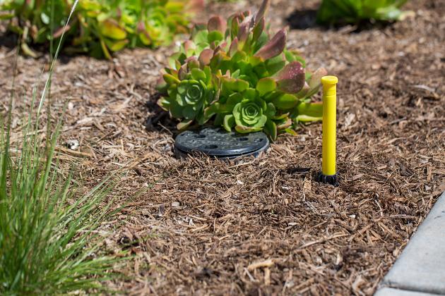 Hunter ECO-ID indicator