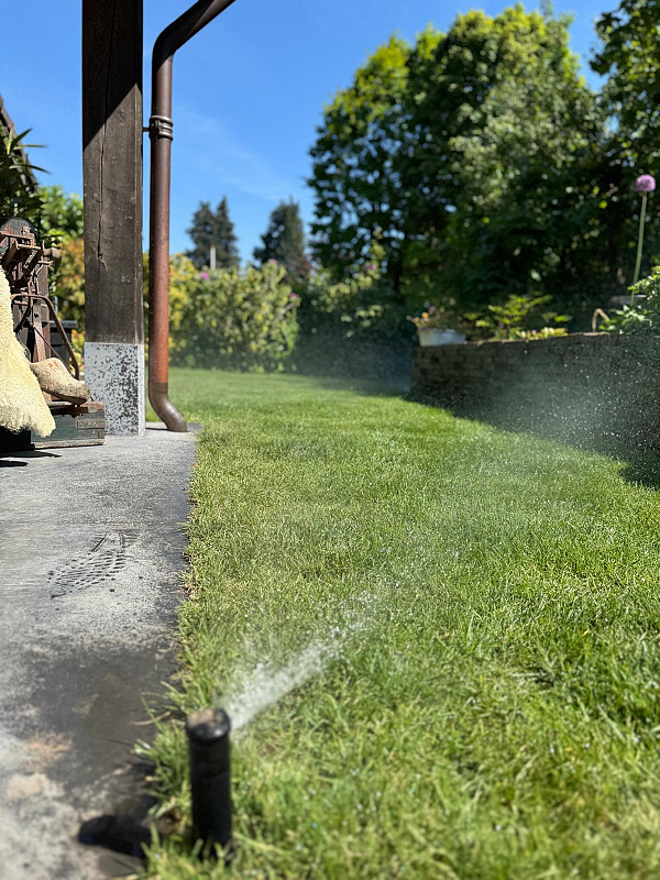 whatsapp image 2026 03 26 at 12.10.00