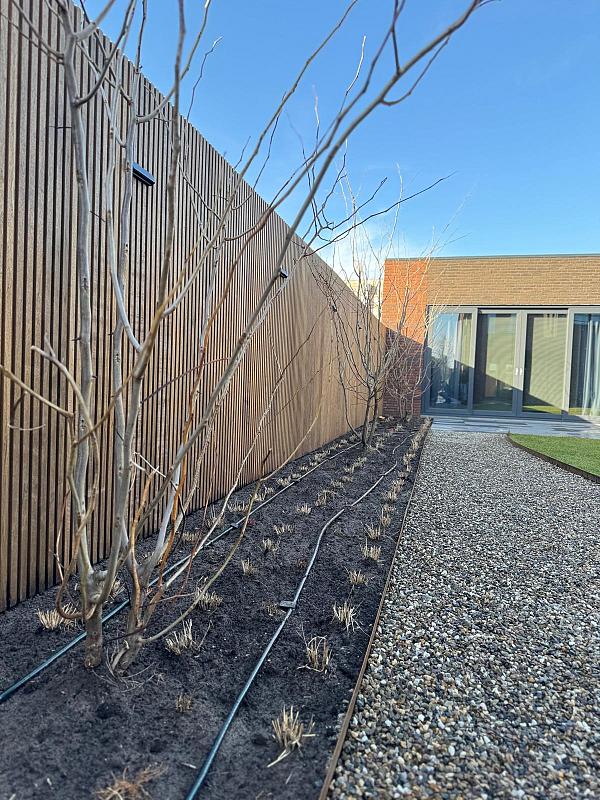 whatsapp image 2026 02 09 at 08.12.45 11 