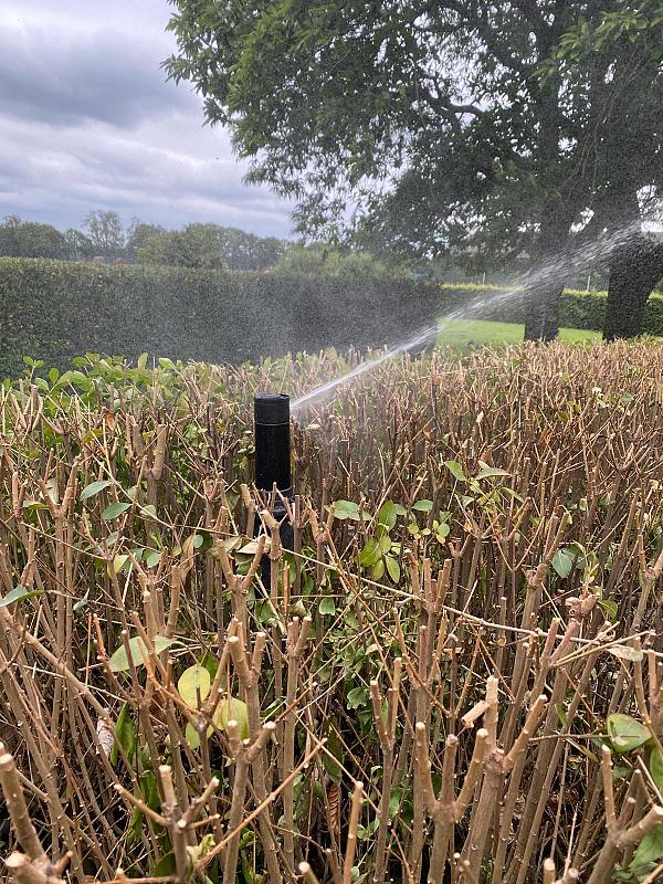 29182369 4408 4bff 8dd4 a42b469a0dce