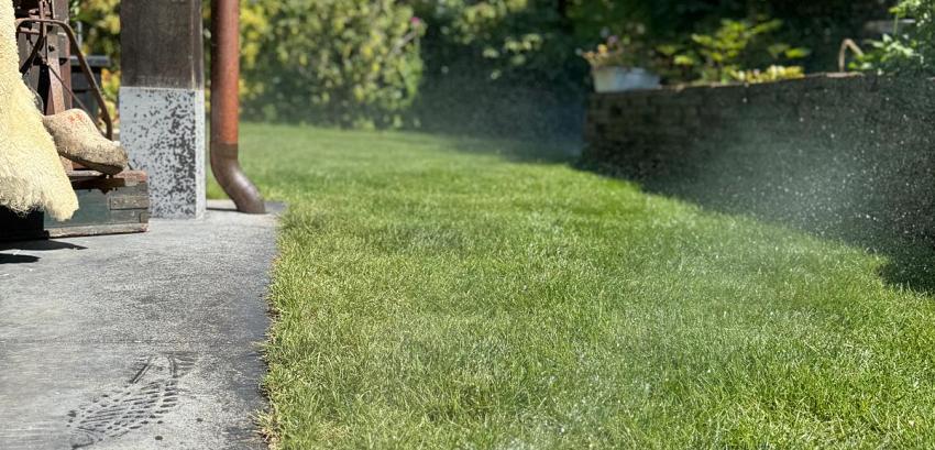 whatsapp image 2026 03 26 at 12.10.00