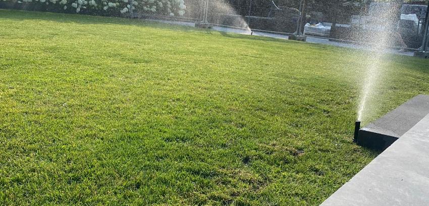 493836c2 1418 40ca 982d 13e797e5a8e1